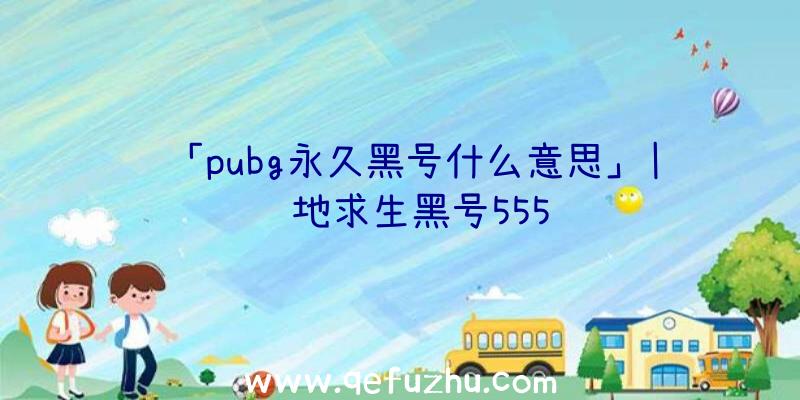 「pubg永久黑号什么意思」|绝地求生黑号555